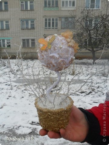 вот и я решила сделать топиарик (фото 1)