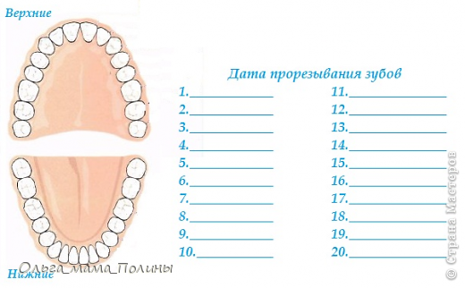по просьбе пользователя "Саввкина мамулька"  выкладываю таблицу прорезывания зубов, дела ее сама, поэтому качество такое. (фото 11)