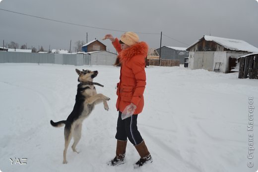 В начале ноября снег у нас все-таки выпал, чему была рада не только я, но и моя собака Лайма (фото 9)