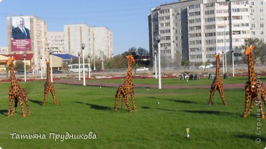 Кусочек казахского счастья (фото 46)