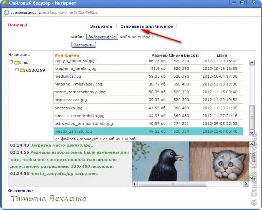 В нижней части окна появляется загруженная картинка.. Кликаем "Отправить..." (фото 8)