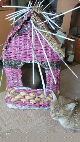 КОШКА ПРОВЕРЯЕТ КАЧЕСТВО.КОТ ЖДЁТ РЕШЕНИЕ ХОЗЯЙКИ. (фото 8)