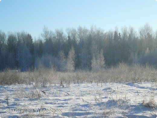 Замороженные волшебным посохом веточки (очень дорогой спецэффект) (фото 4)