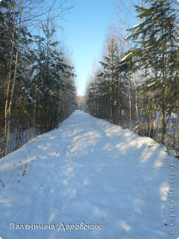 Декорация зимнего леса в целом (фото 5)