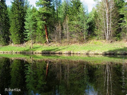 "Отражение3"..малость срезала).но .отражение заметно)) (фото 3)