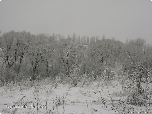 Хоть на Рождество у нас было 0- +2,снежные картины радовали глаз. (фото 7)