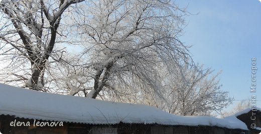 В снежном царстве - наш маленький  зимний фоторепортаж  (фото 6)