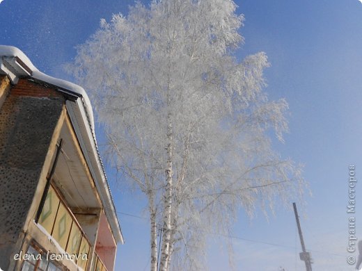 В снежном царстве - наш маленький  зимний фоторепортаж  (фото 5)