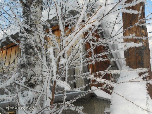 В снежном царстве - наш маленький  зимний фоторепортаж  (фото 8)