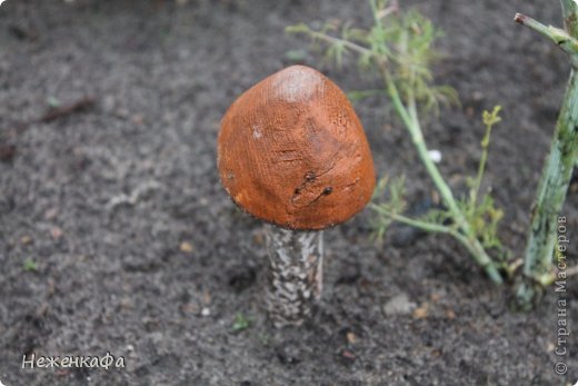 Берёзовик из дерева уже 3 года на даче. (фото 1)