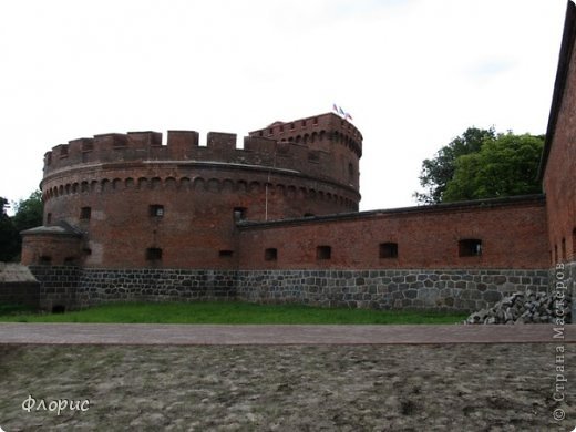 Мой родной город (фото 9)