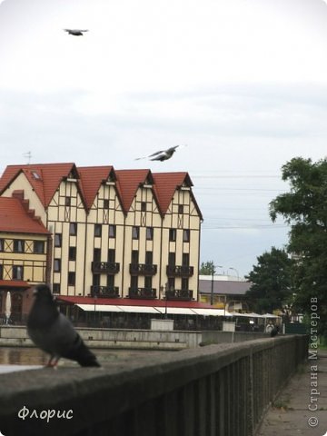 Все там же. (фото 20)