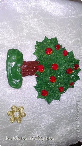 мои соленушки (фото 8)