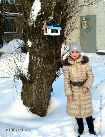 Птичий ресторан открыт))) Бонус: салко на веревочке, с обратной стороны дерева. (фото 11)