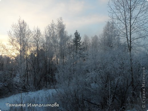 Зима...она такая разная (фото 7)