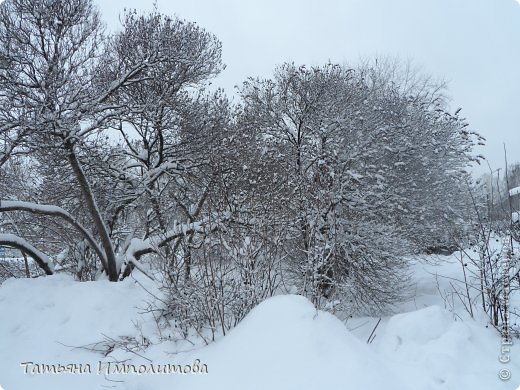 Зима...она такая разная (фото 32)