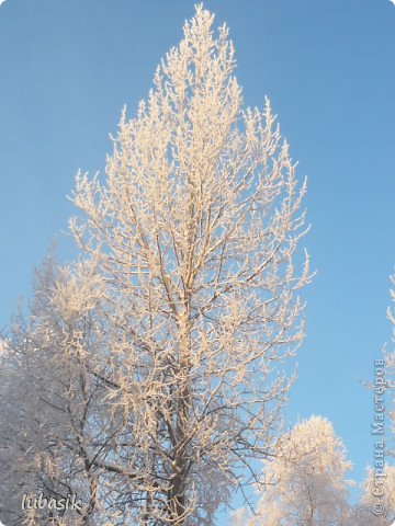 Тарелка, хвастулька и ..... (фото 18)