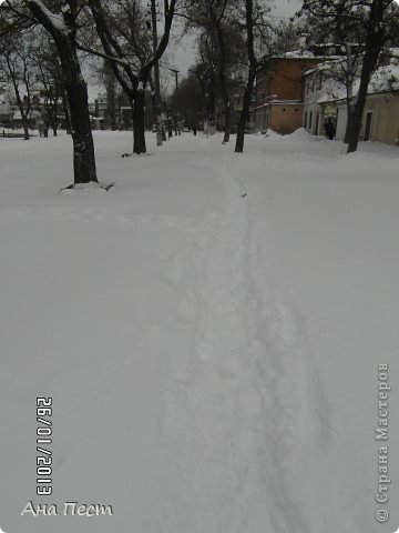 Кто-то, может, и скажет, что ничего нет удивительного в том, что идет снег, да еще и зимой)))).  Только этот кто-то не был зимой в Николаеве!)))) Здесь каждый снегопад несет море полярных эмоций и впечатлений. С одной стороны это красиво!!! нет, это оооочень красиво!!!! Это детское счастье с санками, снежными бабами, снежками и прочими снежными радостями. А с другой стороны дополнительная работа для дворников, аварийная ситуация на дорогах и просто жуткое положение для пешеходов!(последнее испытано на себе))))) (фото 2)