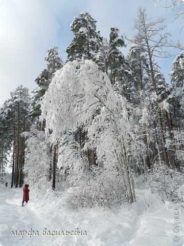 Это ж какая красота. (фото 9)