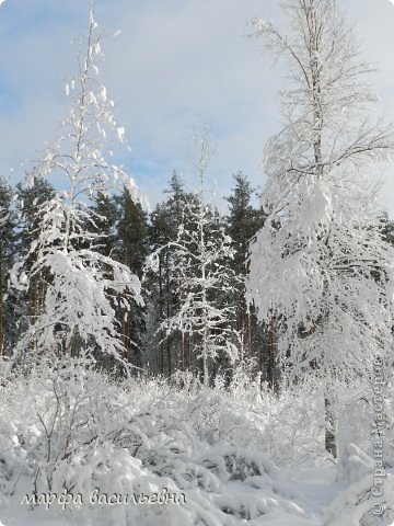 Ура,солнце. (фото 12)