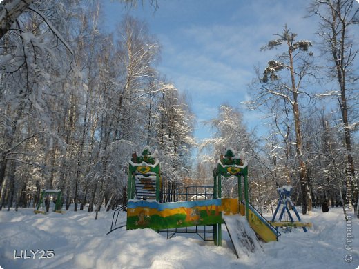 Гуляли по детской площадке, не удержалась и сфотографировала (фото 1)