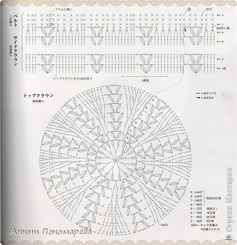 схема берета! (фото 4)