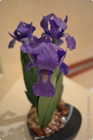 Iris  kisss kisss (фото 5)