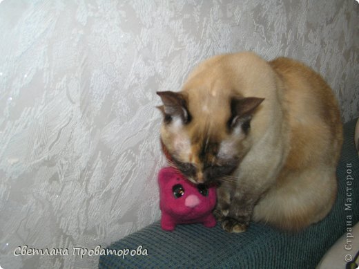 Лиса заботится о нем по полной программе)))), даже за шкирку носит. Мамочкой себя почувствовала. (фото 4)