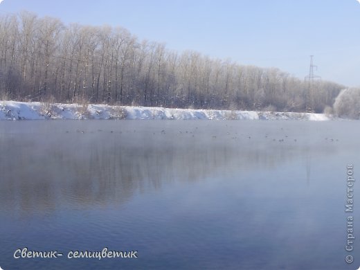 А утки к берегу не подходят. (фото 8)