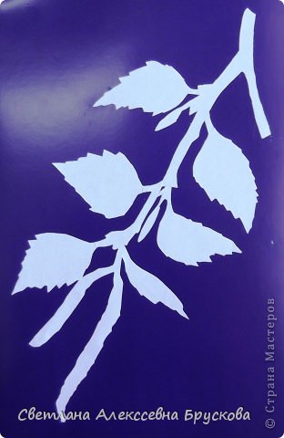 Рябикина Анна. 3 класс (фото 5)