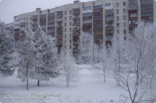 15 февраля. Утро за окном. Иней. (фото 6)