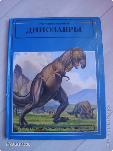 Вот она поближе. Именно увлечение дочурки сподвигло меня на создание игрушки (ИДЕЯ НЕ МОЯ, НАЙДЕНА В И-НЕТЕ). Пусть простой, но зато она так полюбилась Алине!!! (фото 2)