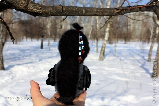 Я Ворона, я Ворона (фото 4)