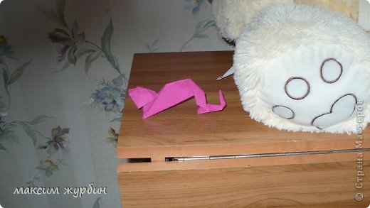кошечка (фото 6)