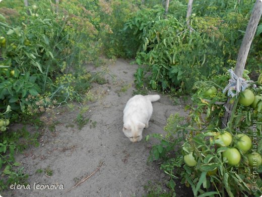 Увидел что-то интересное... (фото 6)