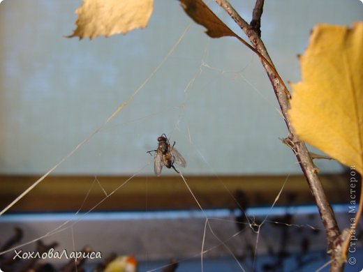 Поделка в сад на конкурс "Дары природы" (фото 6)