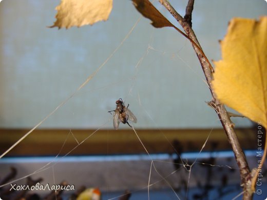 Поделка в сад на конкурс "Дары природы" (фото 6)