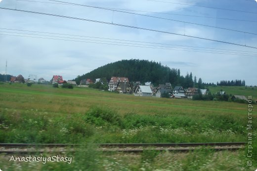 а какой борщевик там рос! (фото 3)