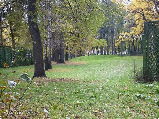 Сам театр располагался в усадьбе Кусково, графа Петра Борисовича Шереметева.
Это был один из уникальных театров того времени - он стал образцом архитектурно - паркового и сценического искусства. Как видно на фотографии от него остались лишь робкие очертания. Деревяные шпалеры, которые служили кулисами, да насыпной холм амфитеатра вдалеке. (фото 5)