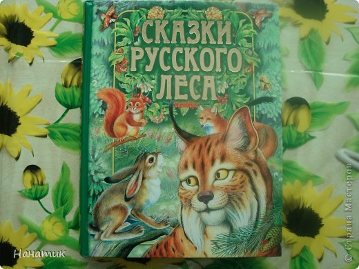 А теперь признаюсь (я книгоманьячка))), покупаю книги часто. Мне кажется, что книг никогда не бывает много). В этой книге собраны авторы: Николай Сладков, Виталий Бианки, Эдуард Шим, Михаил Пришвин! Иллюстрации чудо и они на каждой странице! Эти авторы нам пишут о природе, о животных, о временах года! Можно сказать, что это не просто сказки, а энциклопедические сказки! (фото 9)