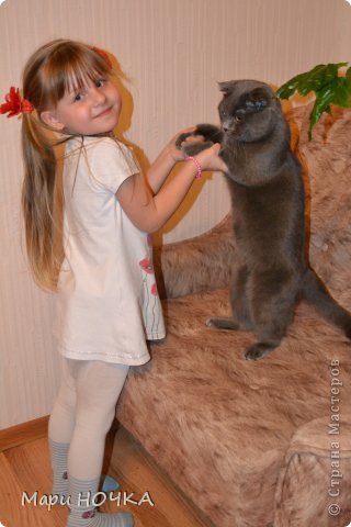 а пока я шила мои "помощники" игрались, а вернее бесились )))) (фото 8)