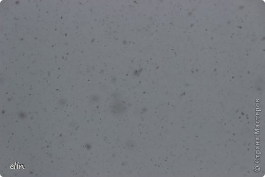 Попытка сфотографировать хлопья снега. (фото 6)