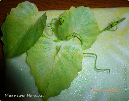 дыню даже не показываю близко, её делала первой, она косячная, а это её листики... (фото 3)