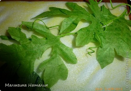 арбузные листочки... (фото 4)