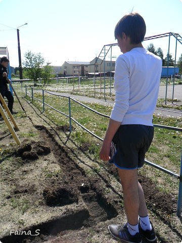 Выкопать траншею глубиной  10 см. (фото 3)