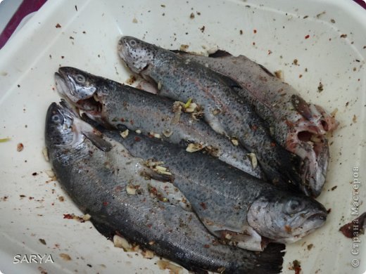 Продукты
рыба
картофель
лук
помидоры
перец зеленый
лимон
соль, специи
масло оливковое
Итак, рыба может быть любая. Сначала я мариную (оливковое масло, соль, перец черный, чеснок, тимьян) ее где-то на час. Пока рыба маринуется готовлю картошку. Картошку делю на дольки заливаю совсем чуть-чуть оливковым маслом, добавляю перец чили мешаю, выкладываю на противень и в раскаленную духовку на 15-20 минут. Катрошка покроется корочкой но внутри будет сыроватая. Вынимаю противень и выкладываю остальные овощи сверху ложу рыбу и сново в духовку на 15-20 минут.
Приятного аппетита! (фото 2)
