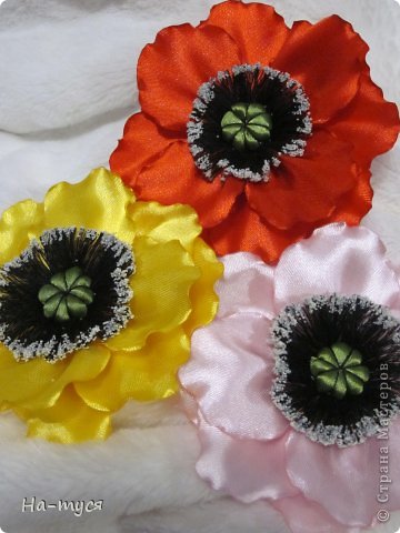 Мои первые маки! (фото 10)