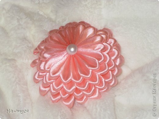 Циния. (фото 5)