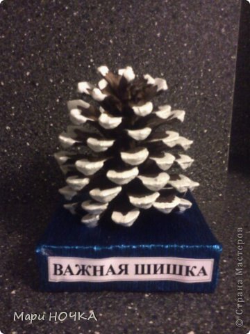 Это первоапрельские шутки для наших начальников. Эта шишка для начальника отдела поставок. (фото 3)