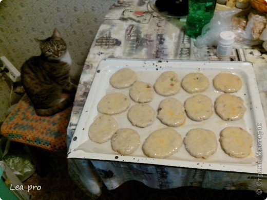 За процессом внимательно следит наблюдатель!
Сверху лепешки смазываем яйцом и отправляем в духовку. (фото 4)